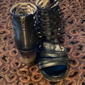 Free Bird by Steven “Wing” Style